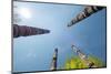 Four Naxi Poles with Wood Carvings, Lijiang, Yunnan, China, Asia-Andreas Brandl-Mounted Photographic Print