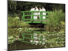 Four Nuns Standing on the Japanese Bridge in the Garden of the Impressionist Painter Claude Monet-David Hughes-Mounted Photographic Print