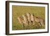 Four of a Kind-Susann Parker-Framed Premium Photographic Print