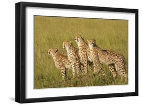 Four of a Kind-Susann Parker-Framed Premium Photographic Print