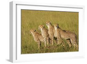 Four of a Kind-Susann Parker-Framed Photographic Print