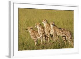 Four of a Kind-Susann Parker-Framed Photographic Print