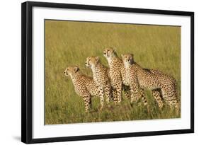 Four of a Kind-Susann Parker-Framed Photographic Print