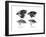 Four or the Species of Finch Observed by Darwin on the Galapagos Islands-null-Framed Giclee Print