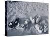 Four Pairs of Shoes on the Sand-Mitch Diamond-Stretched Canvas