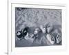 Four Pairs of Shoes on the Sand-Mitch Diamond-Framed Premium Photographic Print