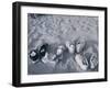 Four Pairs of Shoes on the Sand-Mitch Diamond-Framed Photographic Print