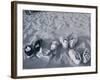 Four Pairs of Shoes on the Sand-Mitch Diamond-Framed Photographic Print