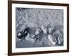 Four Pairs of Shoes on the Sand-Mitch Diamond-Framed Photographic Print