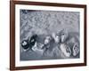 Four Pairs of Shoes on the Sand-Mitch Diamond-Framed Photographic Print