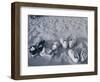 Four Pairs of Shoes on the Sand-Mitch Diamond-Framed Photographic Print