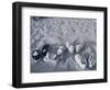 Four Pairs of Shoes on the Sand-Mitch Diamond-Framed Photographic Print