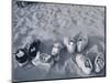 Four Pairs of Shoes on the Sand-Mitch Diamond-Mounted Photographic Print