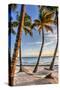 Four Palm Hammock-Robert Goldwitz-Stretched Canvas