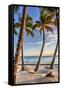 Four Palm Hammock-Robert Goldwitz-Framed Stretched Canvas