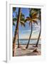 Four Palm Hammock-Robert Goldwitz-Framed Photographic Print