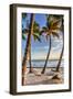 Four Palm Hammock-Robert Goldwitz-Framed Photographic Print