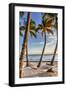 Four Palm Hammock-Robert Goldwitz-Framed Photographic Print