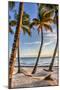 Four Palm Hammock-Robert Goldwitz-Mounted Photographic Print