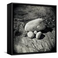 Four Pebbles of Different Sizes Arranged on Flat Rock, Taransay, Outer Herbrides, Scotland, UK-Lee Frost-Framed Stretched Canvas