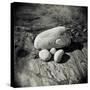 Four Pebbles of Different Sizes Arranged on Flat Rock, Taransay, Outer Herbrides, Scotland, UK-Lee Frost-Stretched Canvas