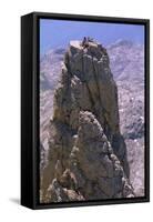 Four People on the Picos De Europa, Spain, Europe-Duncan Maxwell-Framed Stretched Canvas