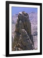 Four People on the Picos De Europa, Spain, Europe-Duncan Maxwell-Framed Photographic Print