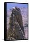 Four People on the Picos De Europa, Spain, Europe-Duncan Maxwell-Framed Stretched Canvas