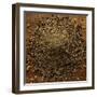 Four Pepper Blend-Steve Gadomski-Framed Photographic Print