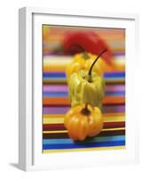 Four Peppers-Debi Treloar-Framed Photographic Print