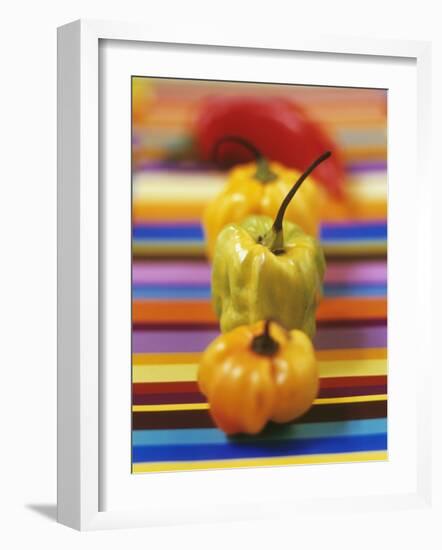 Four Peppers-Debi Treloar-Framed Photographic Print