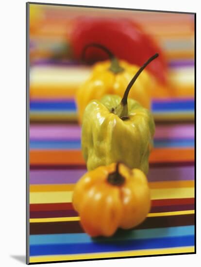 Four Peppers-Debi Treloar-Mounted Photographic Print