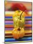 Four Peppers-Debi Treloar-Mounted Photographic Print