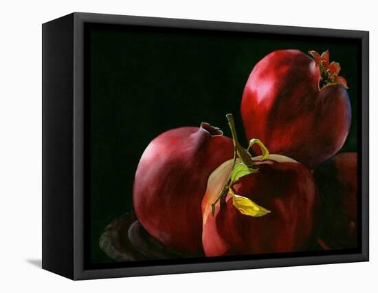 Four Pomegranates-Terri Hill-Framed Stretched Canvas