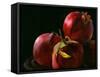 Four Pomegranates-Terri Hill-Framed Stretched Canvas