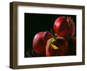 Four Pomegranates-Terri Hill-Framed Giclee Print