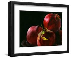 Four Pomegranates-Terri Hill-Framed Giclee Print