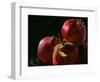 Four Pomegranates-Terri Hill-Framed Giclee Print