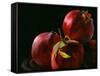 Four Pomegranates-Terri Hill-Framed Stretched Canvas