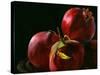 Four Pomegranates-Terri Hill-Stretched Canvas