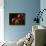 Four Pomegranates-Terri Hill-Giclee Print displayed on a wall