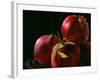 Four Pomegranates-Terri Hill-Framed Giclee Print