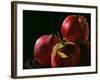 Four Pomegranates-Terri Hill-Framed Giclee Print