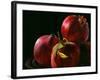 Four Pomegranates-Terri Hill-Framed Giclee Print