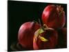 Four Pomegranates-Terri Hill-Stretched Canvas