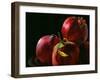 Four Pomegranates-Terri Hill-Framed Giclee Print