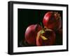 Four Pomegranates-Terri Hill-Framed Giclee Print