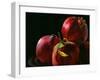 Four Pomegranates-Terri Hill-Framed Giclee Print