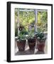 Four Pots of Auriculas-J Morley-Framed Art Print