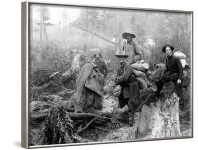yukon gold rush yukon gold rush